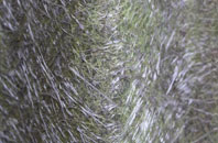 Whittington fibreglass roof work